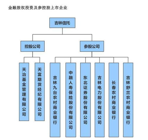 揭秘国企身份与资产管理授权的真伪之辨